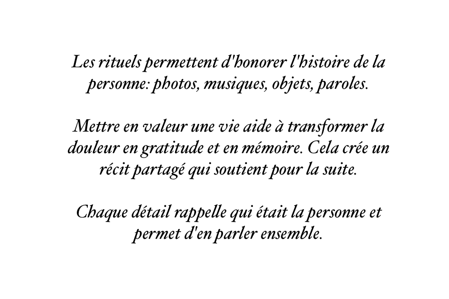 capsuleT3